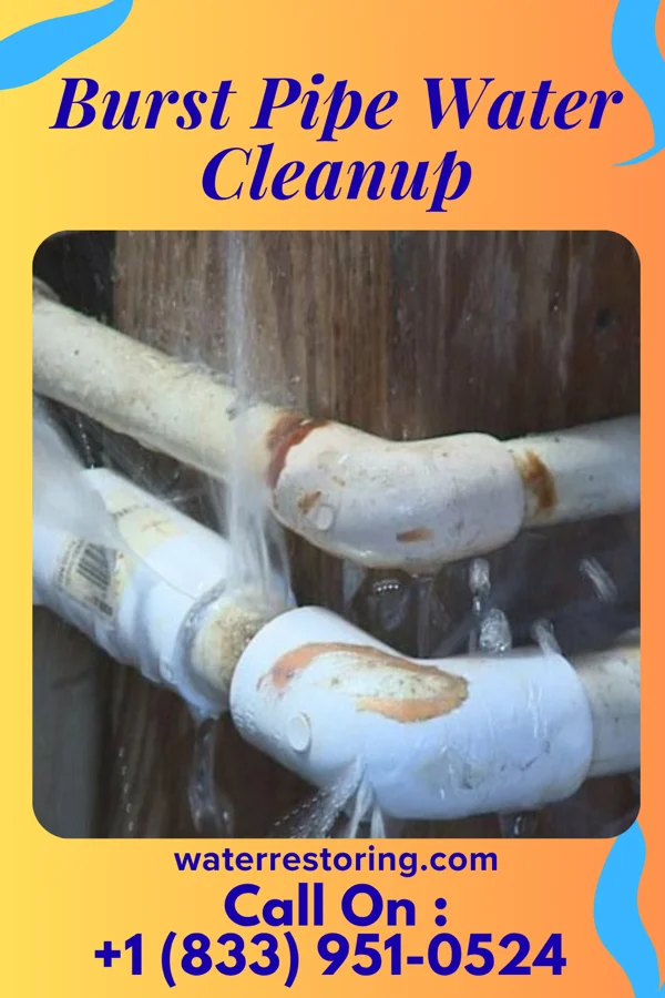 Burst Pipe Water Cleanup in South Shore, SD
