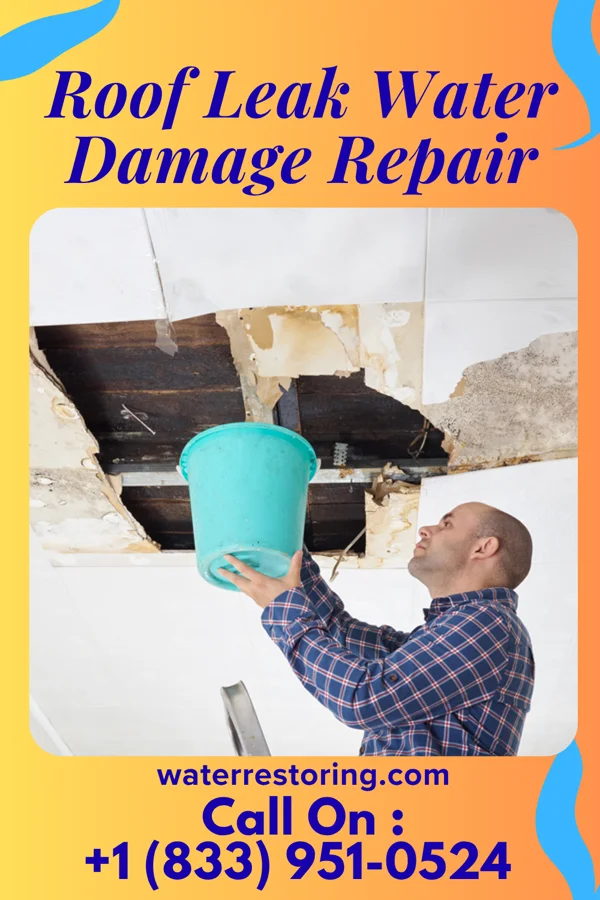 Roof Leak Water Damage Repair in South Shore, SD